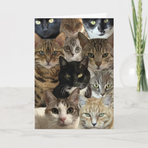 Cat Lover Geburtstagskarte Karte