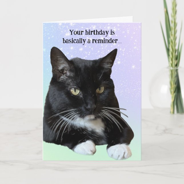 Cat Lover Geburtstagskarte Karte (Vorderseite)