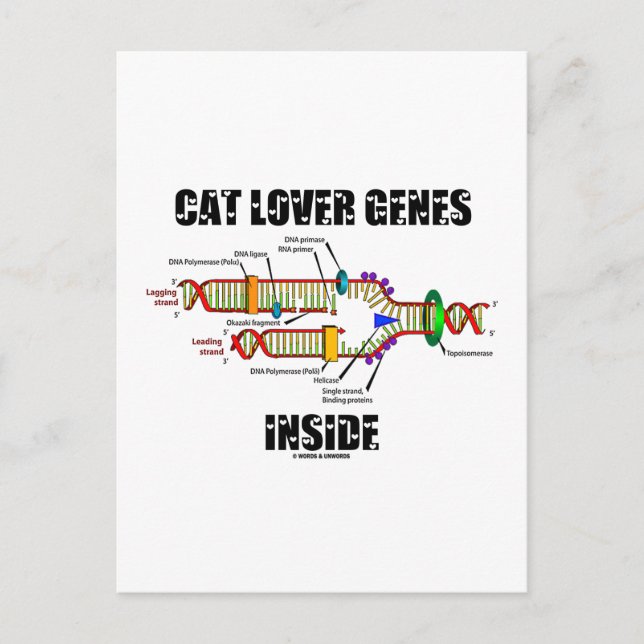 Cat Lover Gene Inside (DNA-Replikation) Postkarte (Vorderseite)