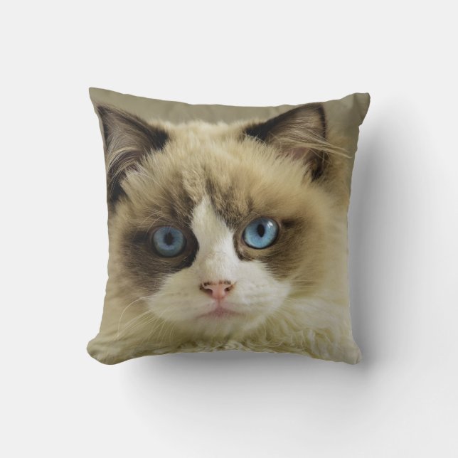 Cat Lover Personalisiert Pet 2 Foto benutzerdefini Kissen (Vorderseite)