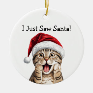 Cat Lover Weihnachtsgeschenk Katze Ornament