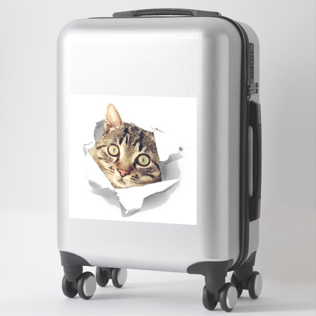 Cat Lovers Face Fun Aufkleber (Koffer)