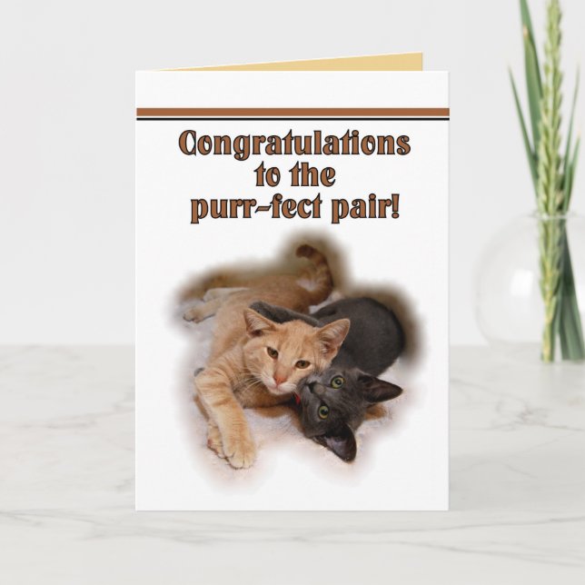 Cat Lovers Happy Anniversary Card Karte (Vorderseite)