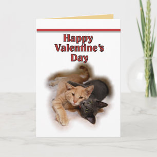 Cat Lovers Happy Valentine's Day Card Feiertagskarte