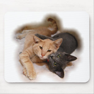 Cat Lovers Mousepad