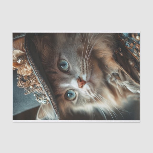 Cat Lyfe2 Seidenpapier (Vorderseite)