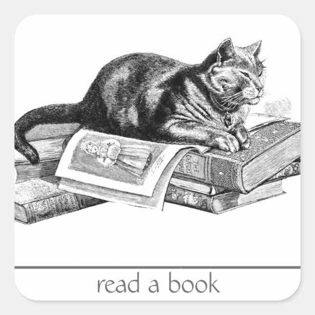 Cat Lying on Books Quadratischer Aufkleber (Vorderseite)