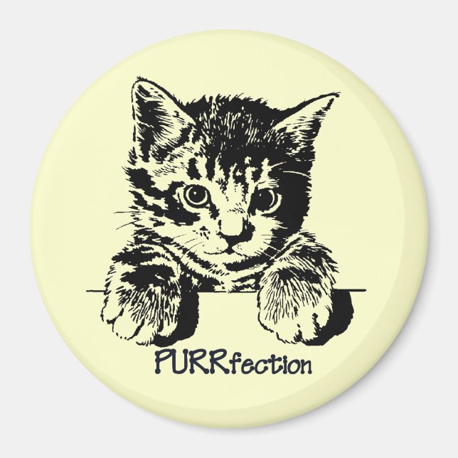Cat Magnet Purrfection (Vorne)