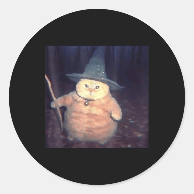 Cat Meme _1 Runder Aufkleber (Vorderseite)