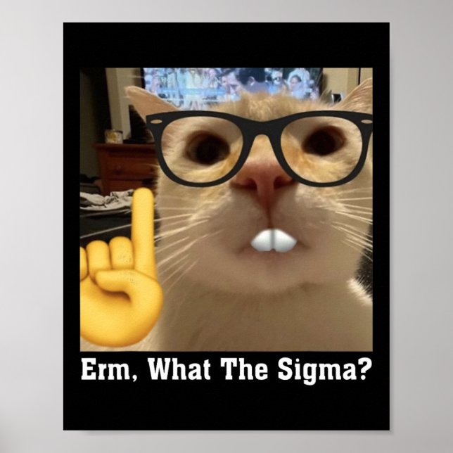 Cat Meme Clic Niedlich Kitten Erm Poster (Vorne)