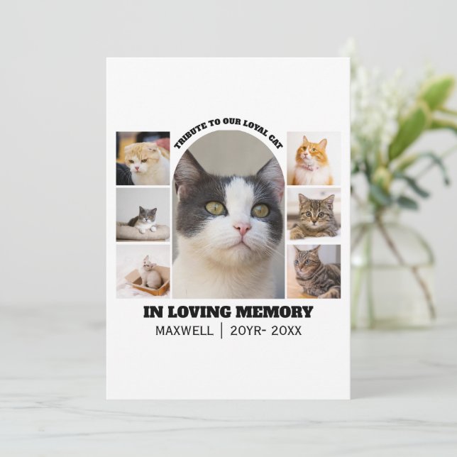 Cat Memorial 7 Photo Collage Pet Tribute Template (Stehend Vorderseite)
