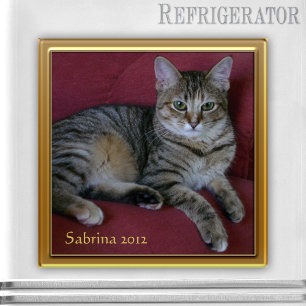 Cat Memorial Foto Frame Magnet