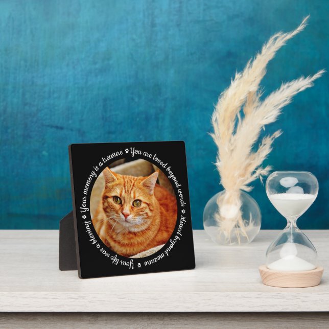Cat Memorial Foto Plaque Fotoplatte (InSitu)