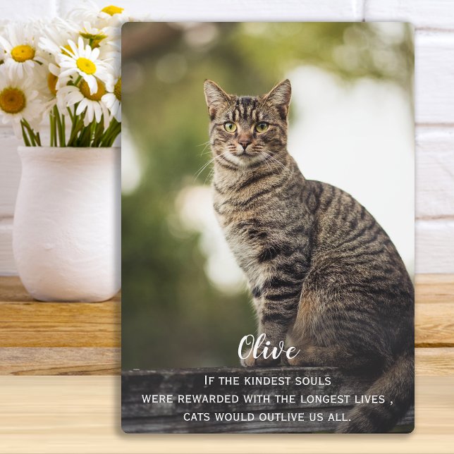 Cat Memorial Gift - Pet Loss Keepake - Cat Beileid Fotoplatte (Von Creator hochgeladen)