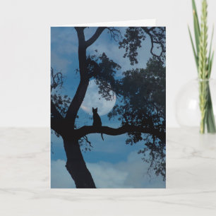 Cat Memorial Loss des Cat Sympathy Card Karte