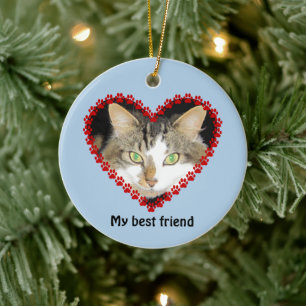 Cat Memory Pay druckt Foto Keramikornament