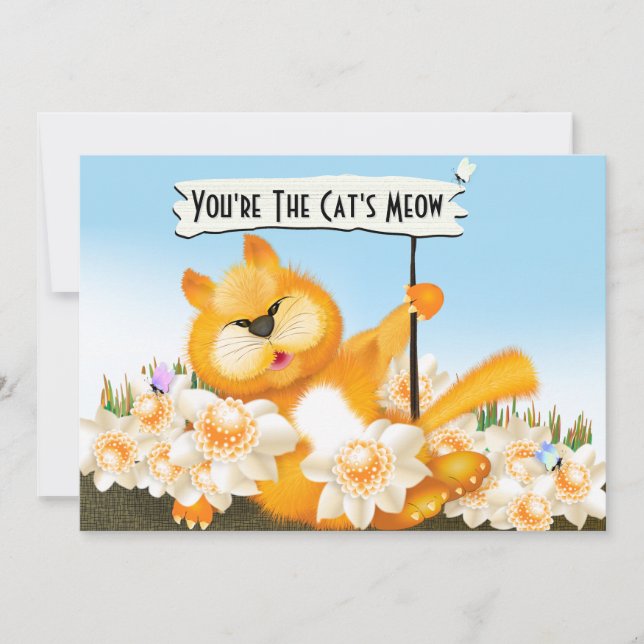 Cat Meow Funny Birthday (Vorderseite)