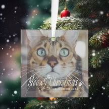Cat Meowy Christmas Pet Holiday Foto