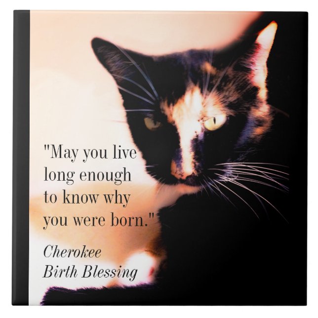 Cat Messenger Fliese (Vorderseite)