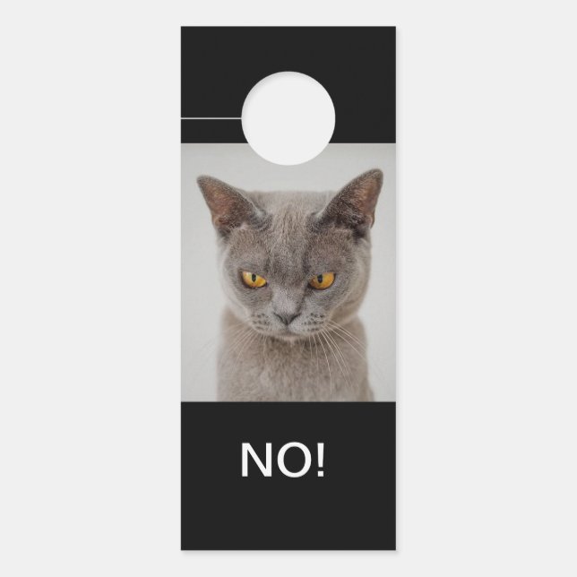 Cat Moods Happy & Wütend Doppelseitige Hallo und N Türanhänger (Vorderseite)
