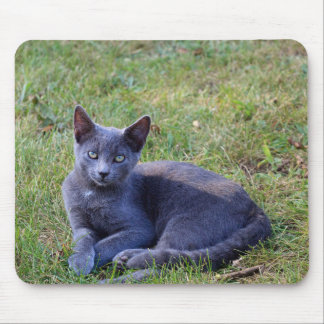 Cat Mouse Pad Mousepad