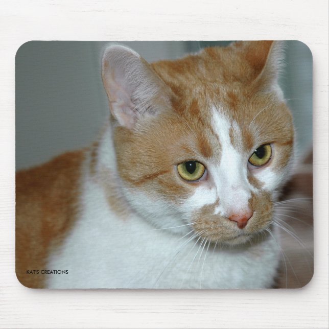 CAT MOUSEPAD (Vorne)