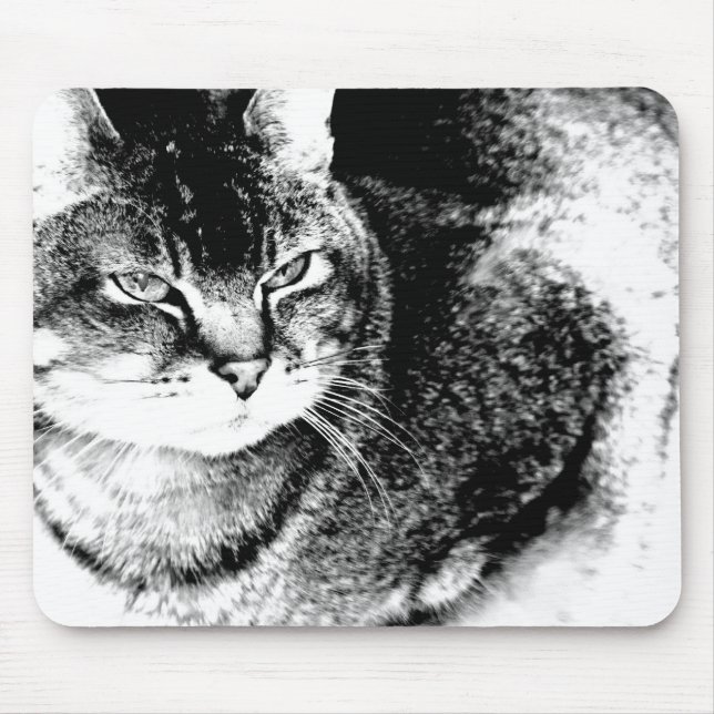 Cat Mousepad (Vorne)