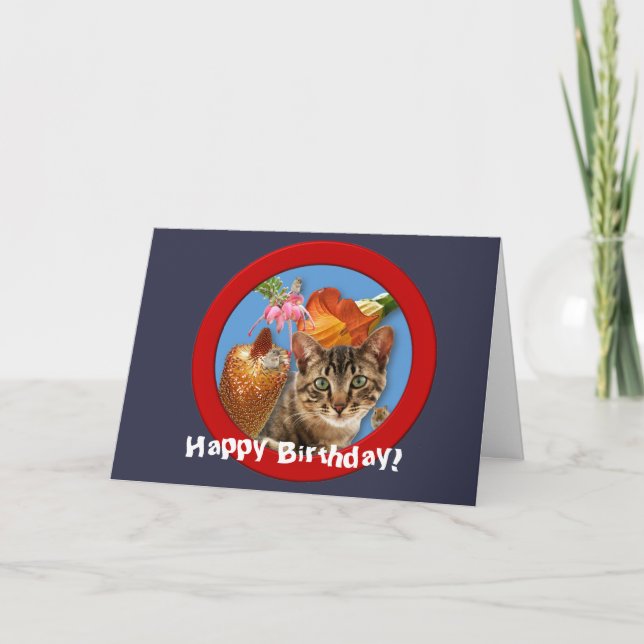 Cat 'n Mouse Birthday Card Karte (Vorderseite)