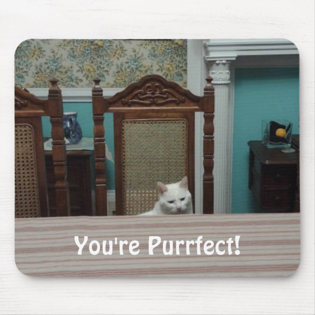 Cat-Nachricht: "Du bist Purfect!" Mousepad (Vorne)