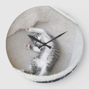 Cat Nap Mur Horloge