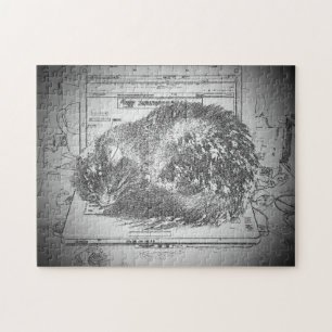 Cat Napping Auf dem Laptop oder erstellen Sie Ihre