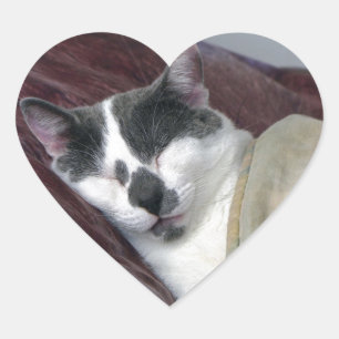 Cat Napping Herz-Aufkleber