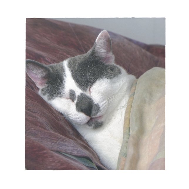 Cat Napping Notizblock (Vorderseite)