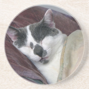 Cat Napping Sandstein Untersetzer