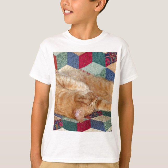 Cat Napping T-Shirt (Vorderseite)