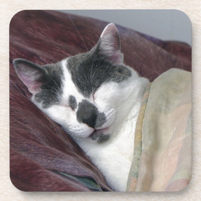 Cat Napping Untersetzer (Vorderseite)