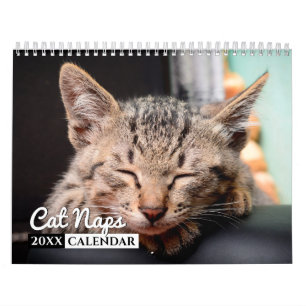 Cat Nickerchen 2022 Foto Wall Calendar Kalender
