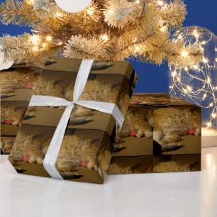 Cat Nickerchen Geschenkpapier