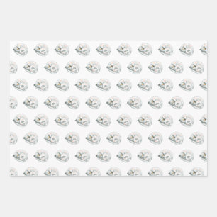 Cat Nickerchen Geschenkpapier Set