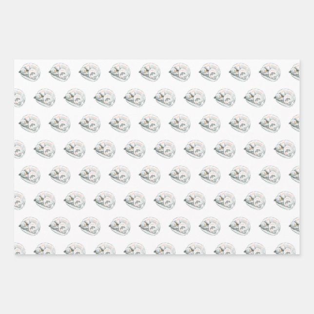 Cat Nickerchen Geschenkpapier Set (Vorderseite)