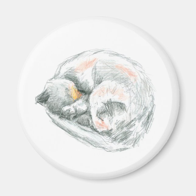 Cat Nickerchen Magnet (Vorne)