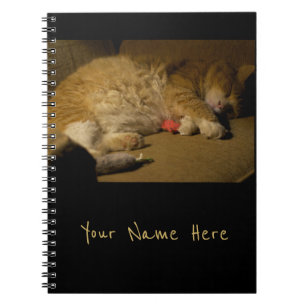 Cat Nickerchen Notizblock