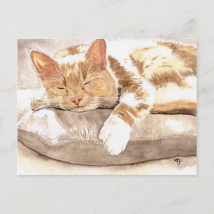 Cat Nickerchen Postkarte