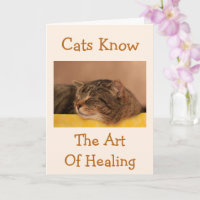 Cat Nickerchen Wisdom erhalten Well Card