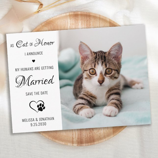  Cat Of Honor Personalized Pet Photo Cat Wedding Save The Date (Von Creator hochgeladen)