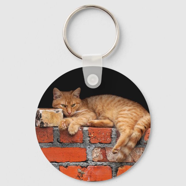 Cat on Brick Wall Keychain Schlüsselanhänger (Vorderseite)