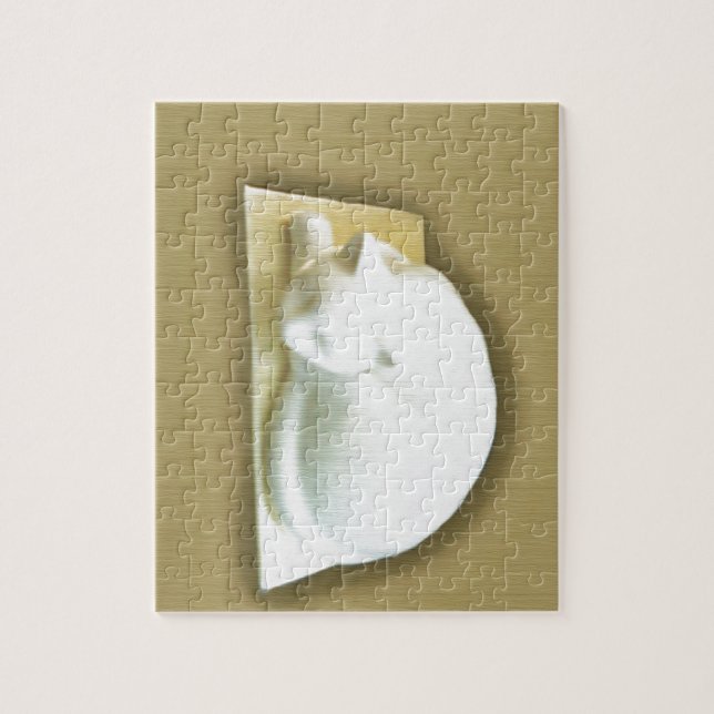 Cat on Gold Box II (Vertikal)