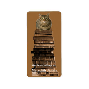 Cat on Stack of Books Buchzeichen Adressaufkleber