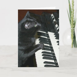 Cat Organ Erwägungsgrund Karte