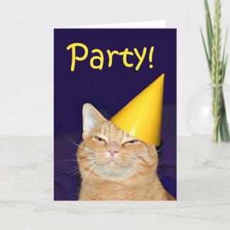 Cat-Party Einladung